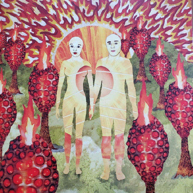 Of Montreal - The sunlandic twins (red/orange swirl vinyl) (LP) - Discords.nl