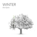 Ola Gjeilo - Winter (LP) - Discords.nl