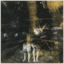 Old Fire - Voids (LP) - Discords.nl