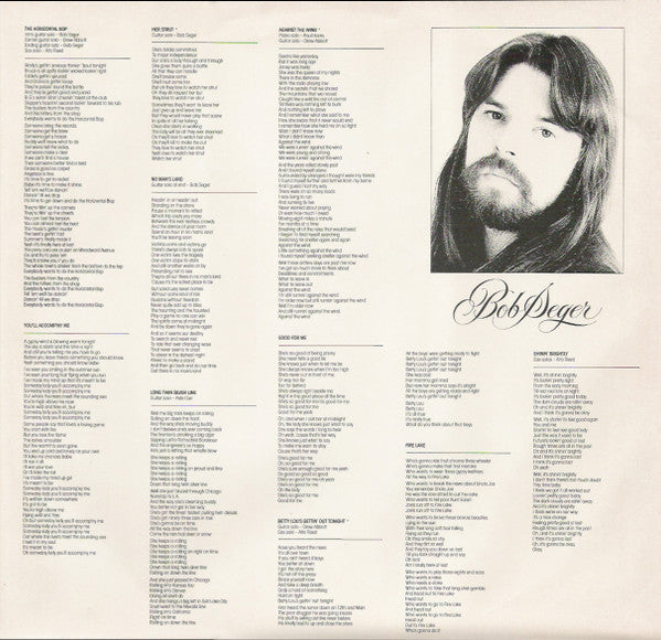 Bob Seger And The Silver Bullet Band - Against The Wind (LP Tweedehands)