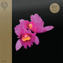 Opeth - Orchid (LP) - Discords.nl