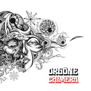 Orgone - Chimera (LP) - Discords.nl