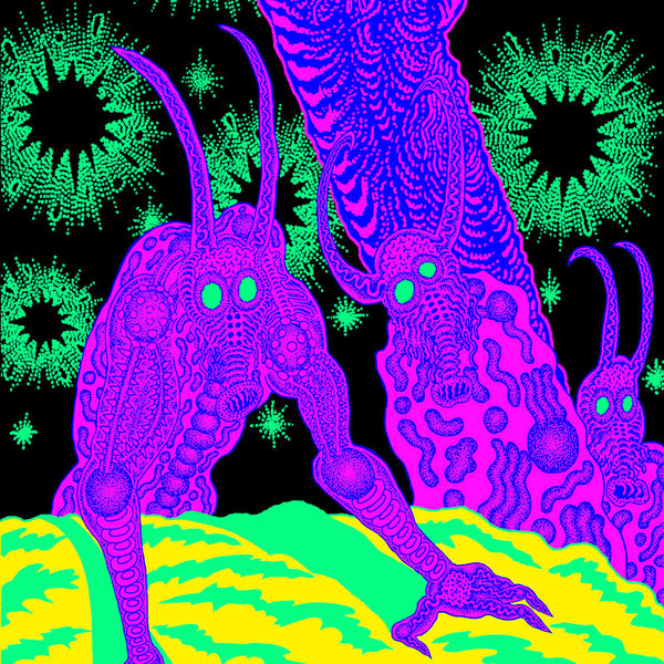 Thee Oh Sees - Abomination Revealed At Last (LP) - Discords.nl
