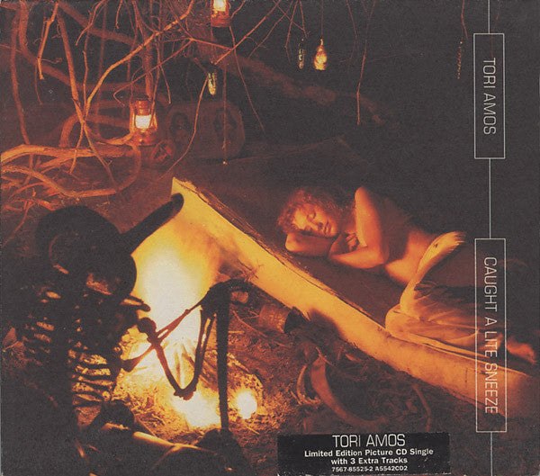Tori Amos - Caught A Lite Sneeze (CD) - Discords.nl