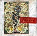 Steve Earle - I Feel Alright (CD Tweedehands) - Discords.nl