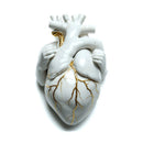 Ozark Henry - August parker (LP) - Discords.nl