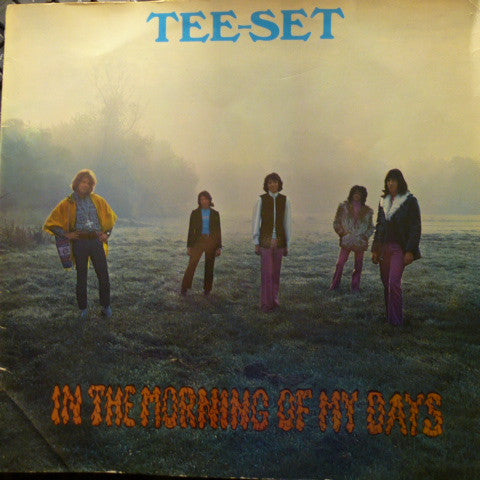 Tee-Set - In The Morning Of My Days (LP Tweedehands)