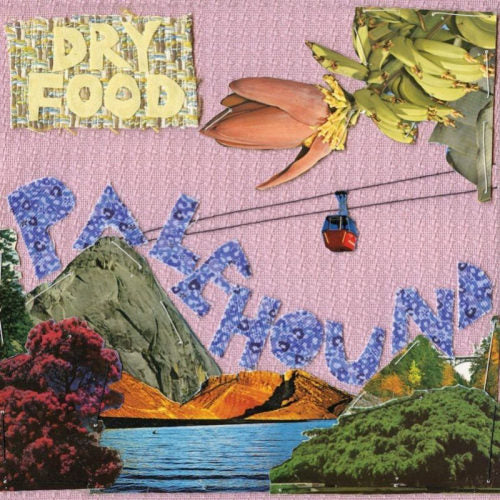 Palehound - Dry food (LP) - Discords.nl