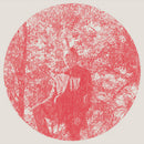 Owen Pallett - Heartland (LP) - Discords.nl