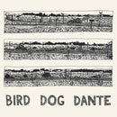 John Parish - Bird dog dante (CD) - Discords.nl