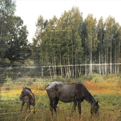 Pianos Become The Teeth - Old pride (CD) - Discords.nl