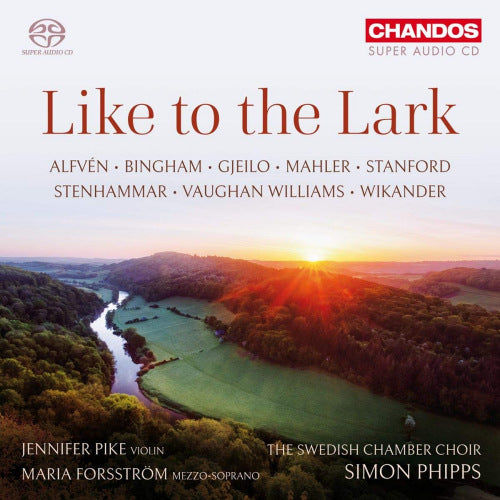 Jennifer Pike - Like to the lark (CD) - Discords.nl