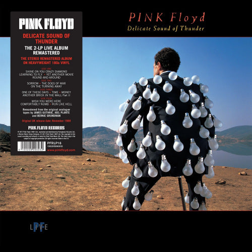Pink Floyd - Delicate sound of thunder (LP) - Discords.nl