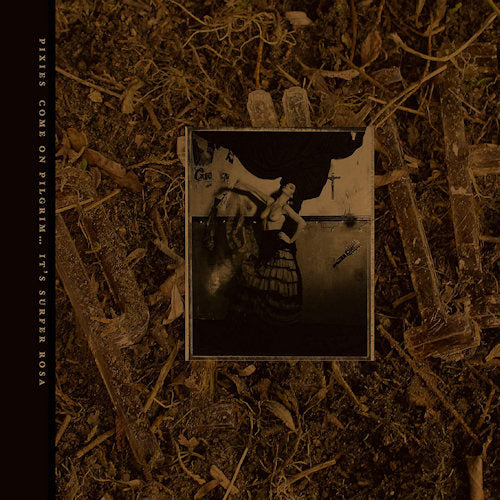 Pixies - C'mon pilgrim...it's surfer rosa (CD) - Discords.nl