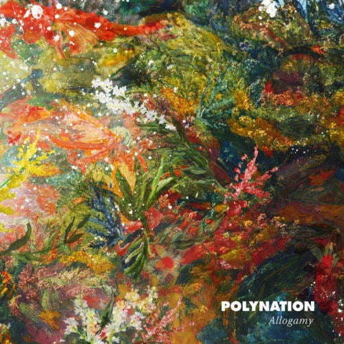 Polynation - Allogamy (12-inch)