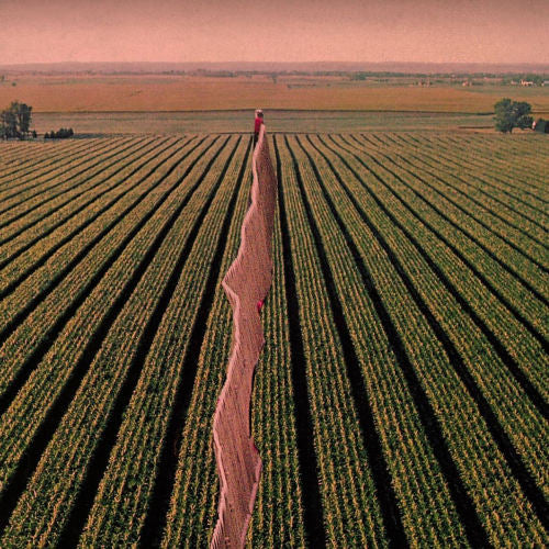 Possible Humans - Everybody split (LP) - Discords.nl