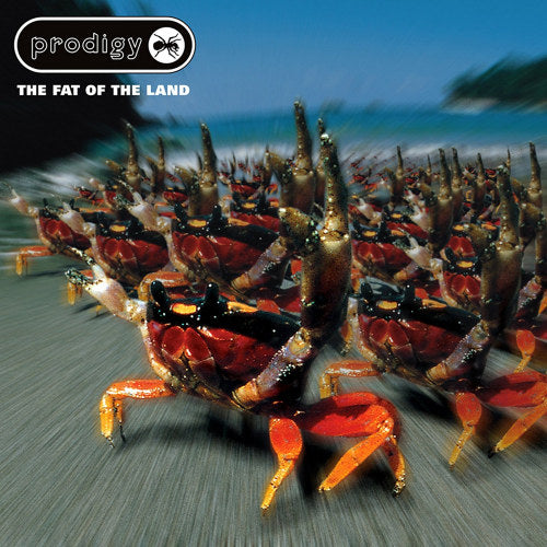 Prodigy - Fat of the land (CD) - Discords.nl