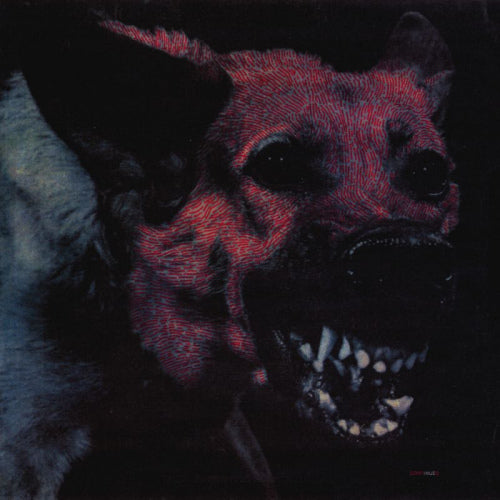 Protomartyr - Under color of official right (CD) - Discords.nl