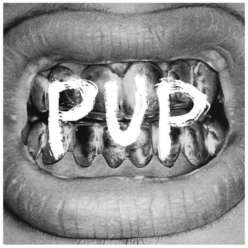 Pup - Pup (CD) - Discords.nl