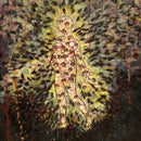 Pyrrhon - Mother of virtues (CD) - Discords.nl