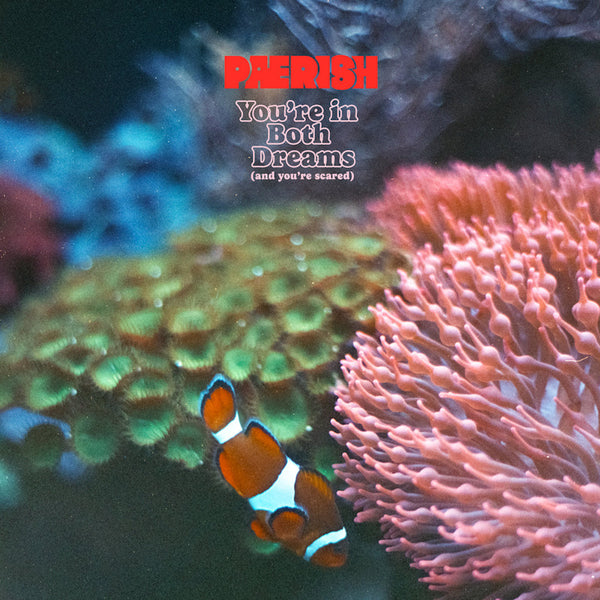 Paerish - You're in both dreams (and you're scared) (LP) - Discords.nl