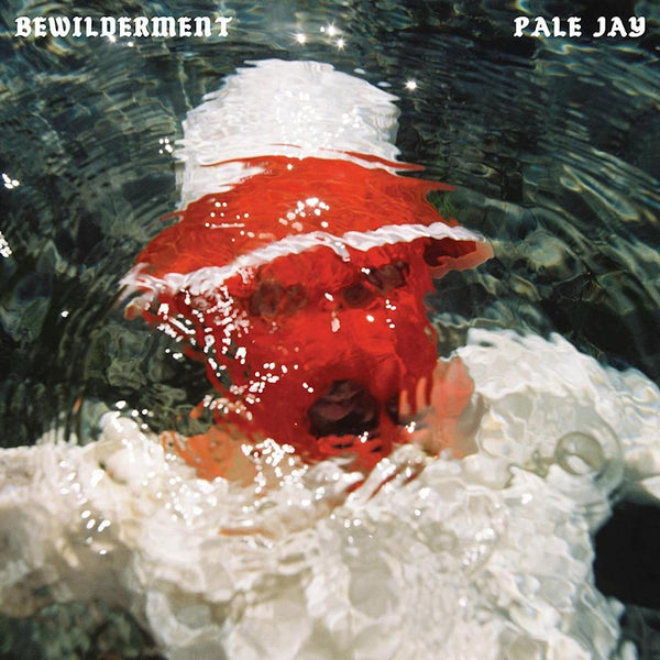 Pale Jay - Bewilderment (CD) - Discords.nl