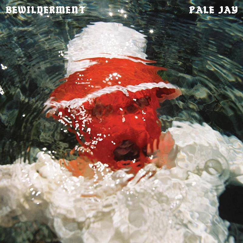 Pale Jay - Bewilderment (CD) - Discords.nl