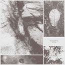 Park Jiha - All living things (LP)
