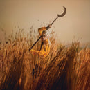 Patrick Wolf - Crying the neck (LP)