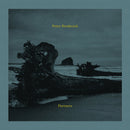 Peter Broderick - Partners (LP) - Discords.nl