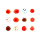 Peter Gabriel - Scratch my back / and i'll scratch yours (CD) - Discords.nl