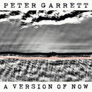 Peter Garrett - A version of now (LP)