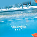 Peter Hammill - In a foreign town / out of water 2023 (CD) - Discords.nl