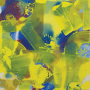 Philip Selway / Elysian Collective / Chris Vatalaro - Live at evolution studios (LP) - Discords.nl