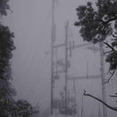 Photay - On hold -coloured- (LP) - Discords.nl