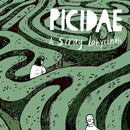 Picidae - A stray labyrinth (CD) - Discords.nl
