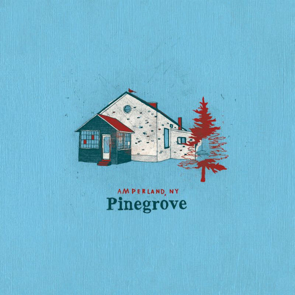 Pinegrove - Amperland, ny (LP) - Discords.nl