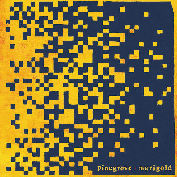 Pinegrove - Marigold (LP) - Discords.nl