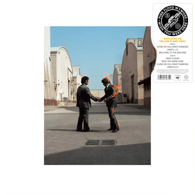 Pink Floyd - Wish you were here (LP) - Discords.nl