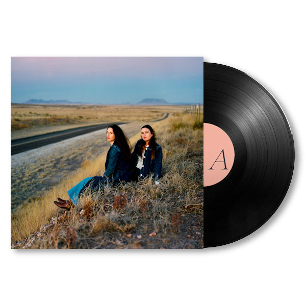 Plains - I walked with you a ways (LP) - Discords.nl