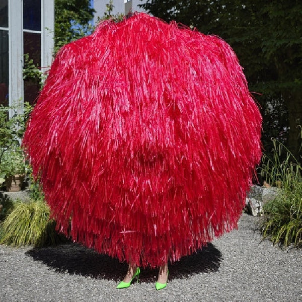 Stephan Eicher - Ode (LP) - Discords.nl