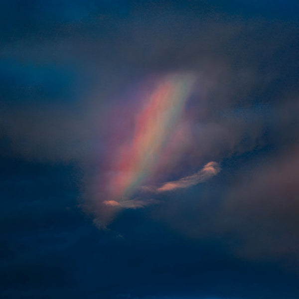 Pool Kids - Pool kids (LP) - Discords.nl