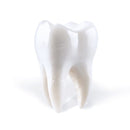 Porij - Teething (LP) - Discords.nl