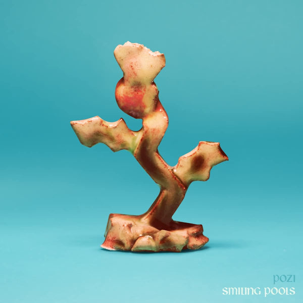 Pozi - Smiling pools (CD) - Discords.nl