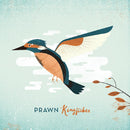 Prawn - Kingfisher (CD) - Discords.nl