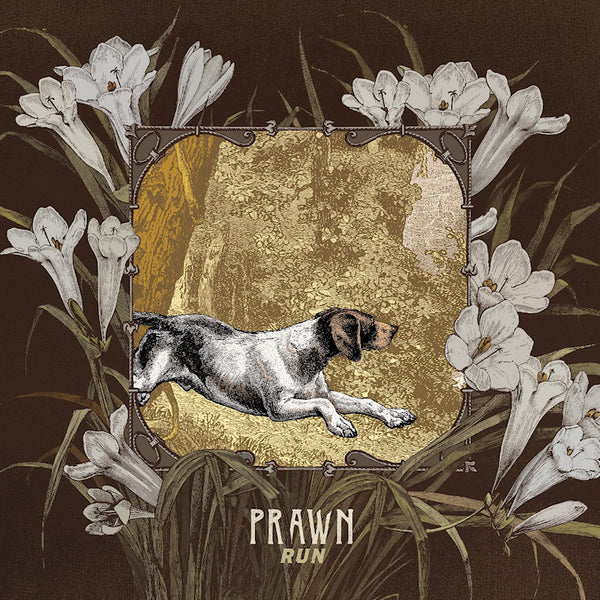 Prawn - Run (CD)