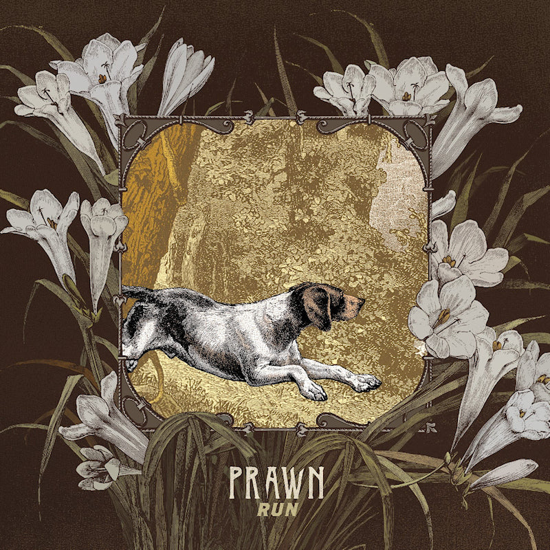 Prawn - Run (LP)