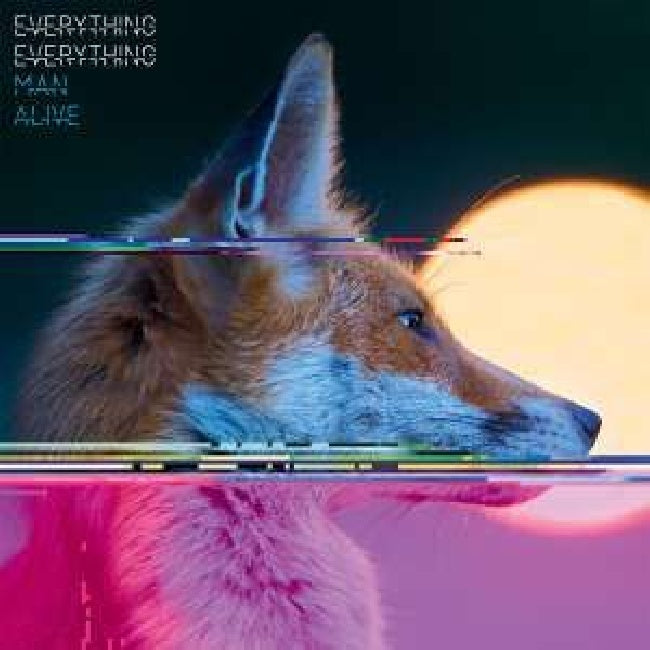 Everything Everything - Man alive (LP) - Discords.nl