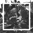 Pupil Slicer - Mirrors (CD) - Discords.nl