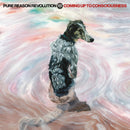 Pure Reason Revolution - Coming up to consciousness (DVD Music)